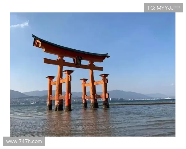 寒潮隐患首尔广岛亚冠改址木洞